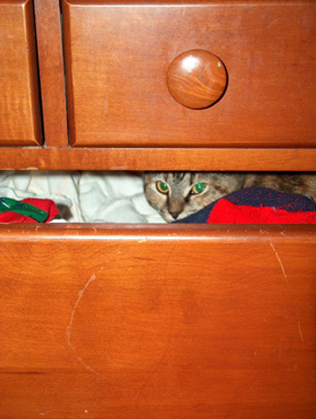 hiding
