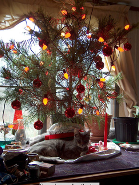 napunderthetree
